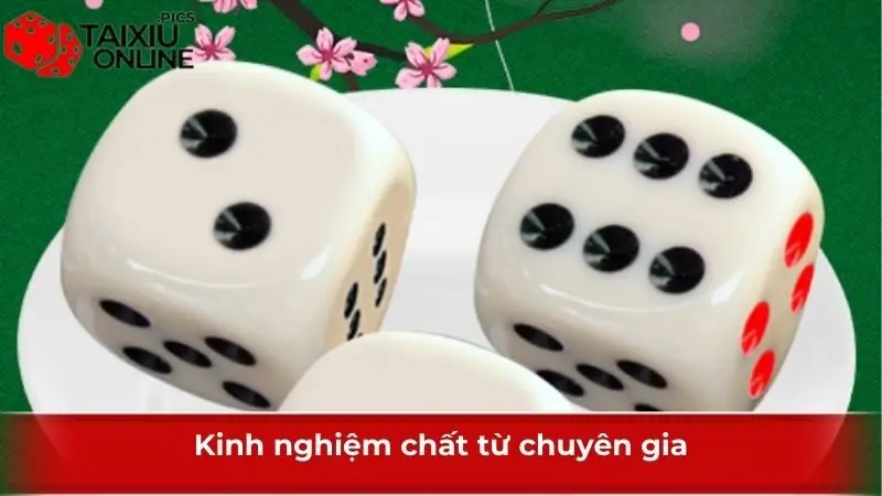 Kinh nghiệm chất từ chuyên gia