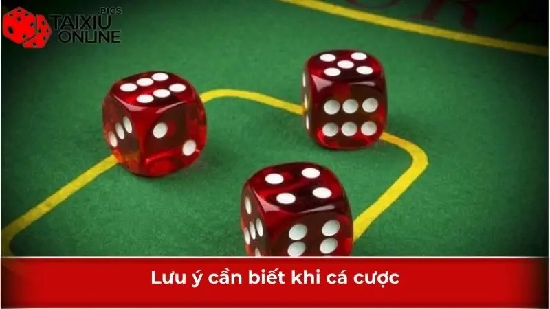 Lưu ý cần biết khi cá cược